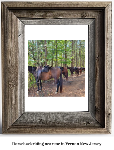 horseback riding near me in Vernon, New Jersey